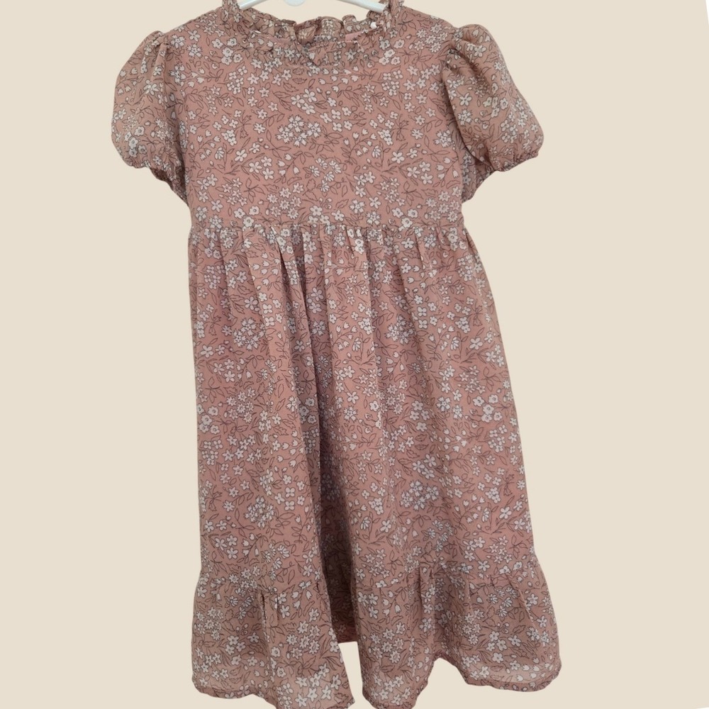 Noralee Girls Dusty Rose Floral Chiffon Ruffle Dress Pink Size 4 NL21SP SHYJ